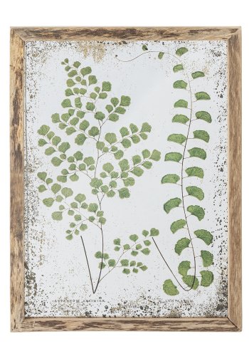 CREATIVE COLLECTION Tipper Illustration mit Rahmen, Natur, Kiefer