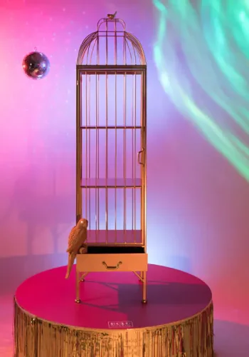 BOLD MONKEY Unlock Me Schrank, Vogelkäfig-Design, mit 1 Tür, 3 Regalen und 1 Schublade – Messingeisen