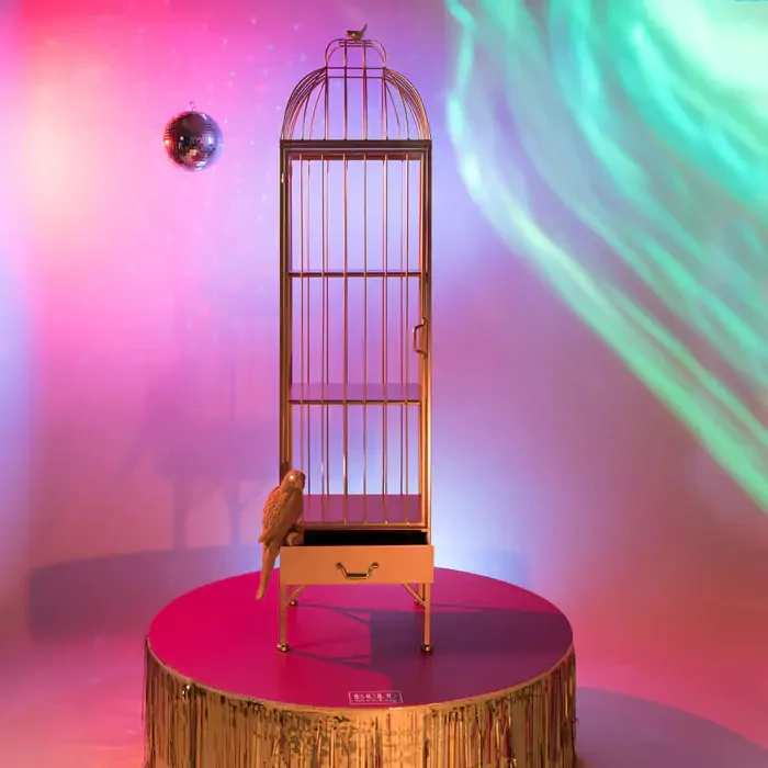 BOLD MONKEY Unlock Me Schrank, Vogelkäfig-Design, mit 1 Tür, 3 Regalen und 1 Schublade – Messingeisen