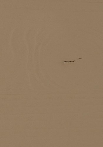 WOOOD JET BOKSTLL I TALLER [fsc]