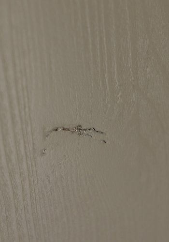 WOOOD Alfie hylde til Alfie garderobeskab - grn fyrretr (st af 3) (H:2xB:52xD:57)