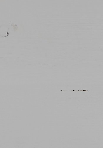 ÖPPET SKP I WOOOD BONK FURUBLS [fsc]