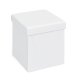 NORDIC LIVING COLLECTION Setti liten vit hopf&auml;llbar l�da med sittdyna