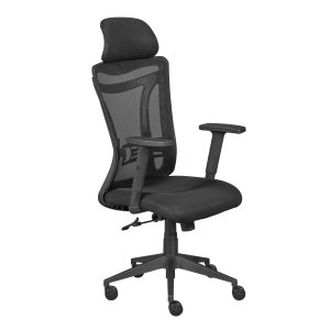 NORDIC LIVING COLLECTION Ergonomisk snurrstol med 2 armst&ouml;d, h&ouml;jdjusterbar med 5 bromsade hjul