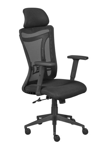 NORDIC LIVING COLLECTION Ergonomisk snurrstol med 2 armst&ouml;d, h&ouml;jdjusterbar med 5 bromsade hjul