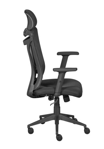 NORDIC LIVING COLLECTION Ergonomisk snurrstol med 2 armst&ouml;d, h&ouml;jdjusterbar med 5 bromsade hjul