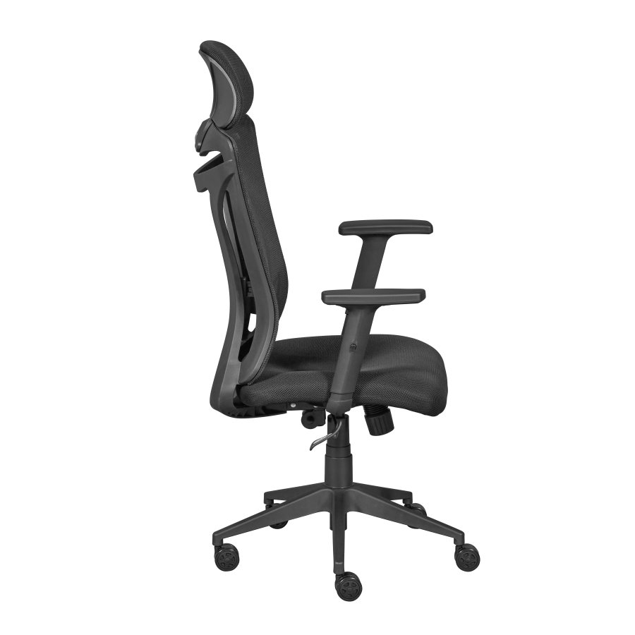 NORDIC LIVING COLLECTION Ergonomisk snurrstol med 2 armst&ouml;d, h&ouml;jdjusterbar med 5 bromsade hjul