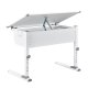NORDIC LIVING COLLECTION Studare-skrivbord med l�da med tryckfunktion, h&ouml;jdjusterbart och vinklingsbart hyllplan