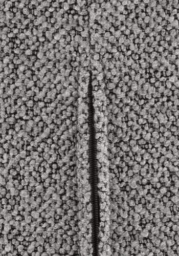 ACT NORDIC Patricia Esszimmerstuhl - grauer Stoff und schwarzes Metall