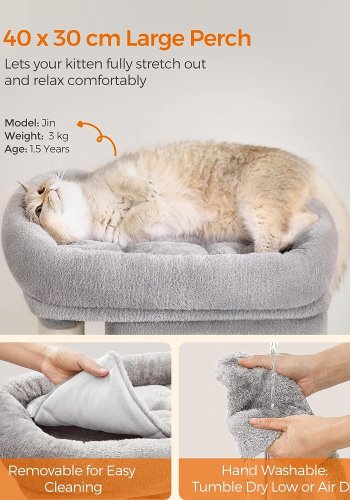 Feandrea kattetre, 67 cm kattetrn, S, katteleilighet for kattunger opptil 3 kg, stor kattabbor, 2 kattehull, skrapestolpe, lys gr PCT611W01