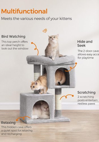 Feandrea kattetre, 67 cm kattetrn, S, katteleilighet for kattunger opptil 3 kg, stor kattabbor, 2 kattehull, skrapestolpe, lys gr PCT611W01