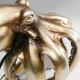 KARE DESIGN Animal Octopus bordlampe - hvid glas og guld polyresin