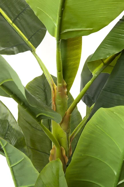 KARE DESIGN Banana Tree kunstig plante - grn ethylenvinylacetat og polyethylen (H:180cm)