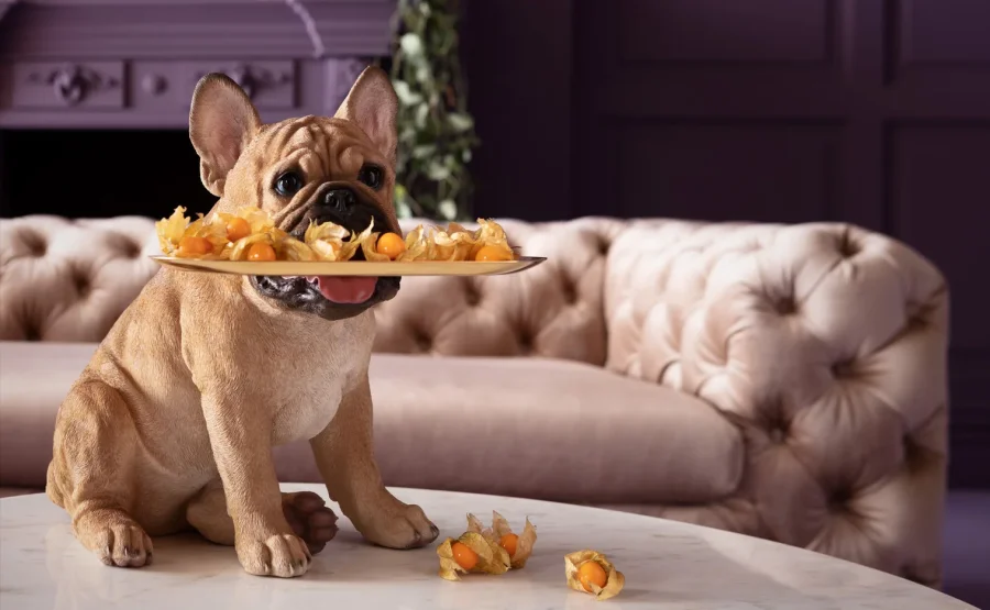 KARE DESIGN Butler Frenchy figur - multifarvet polyresin og guld stl (H:40cm)