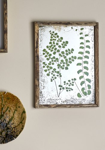 CREATIVE COLLECTION Tipper Illustration mit Rahmen, Natur, Kiefer