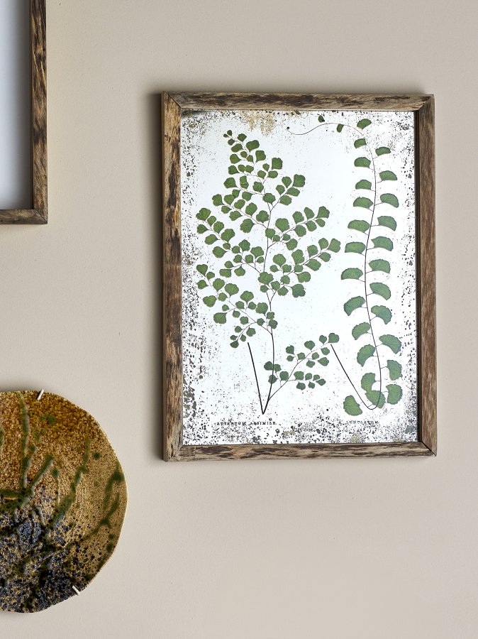 CREATIVE COLLECTION Tipper Illustration mit Rahmen, Natur, Kiefer