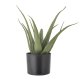 BLOOMINGVILLE Aloe kunstig plante - Grnn plast