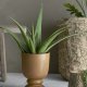 BLOOMINGVILLE Aloe kunstig plante - Grnn plast