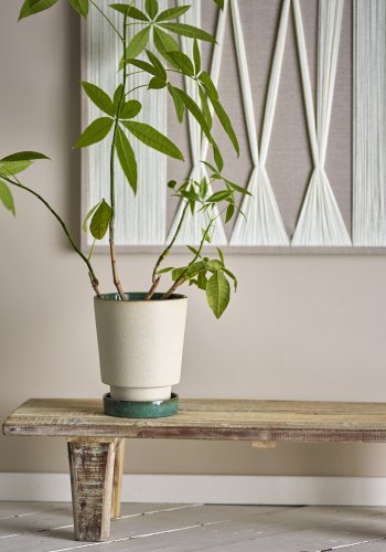 BLOOMINGVILLE Idril blomsterpotte m. tallerken - naturlig steinty