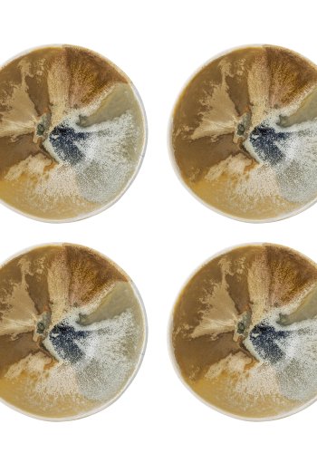 CREATIVE COLLECTION Lacey Schüssel, Gelb, Steingut (T15xH8 cm, 4er-Set)