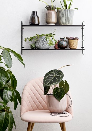 BLOOMINGVILLE North Hylle, Sort, MDF, L65xH35xB15 cm