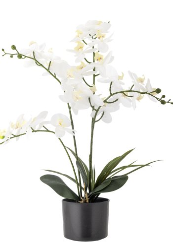 BLOOMINGVILLE kunstig orkideplante - hvit og grnn plast