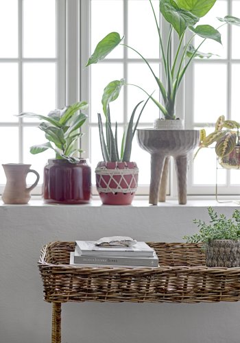 BLOOMINGVILLE Jobran potteskjuler, Grnn, Steinty, D20xH15 cm