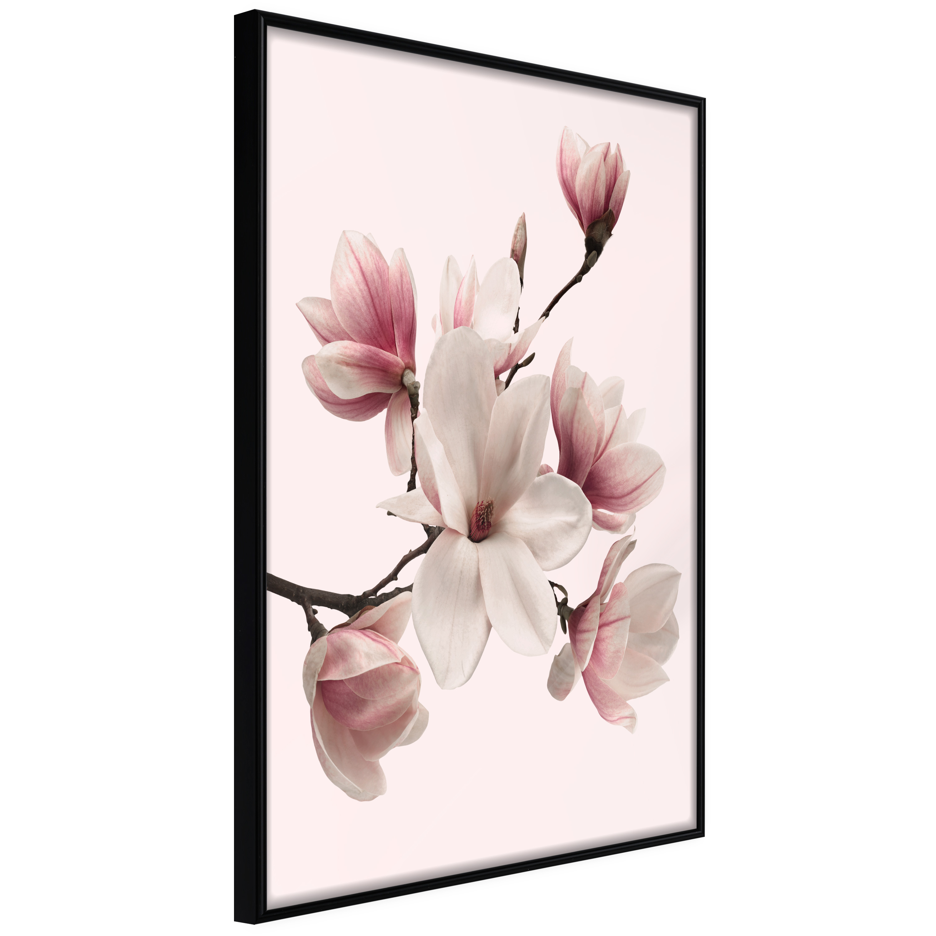 ARTGEIST Plakat med ramme - Blooming Magnolias I Sort 20x30