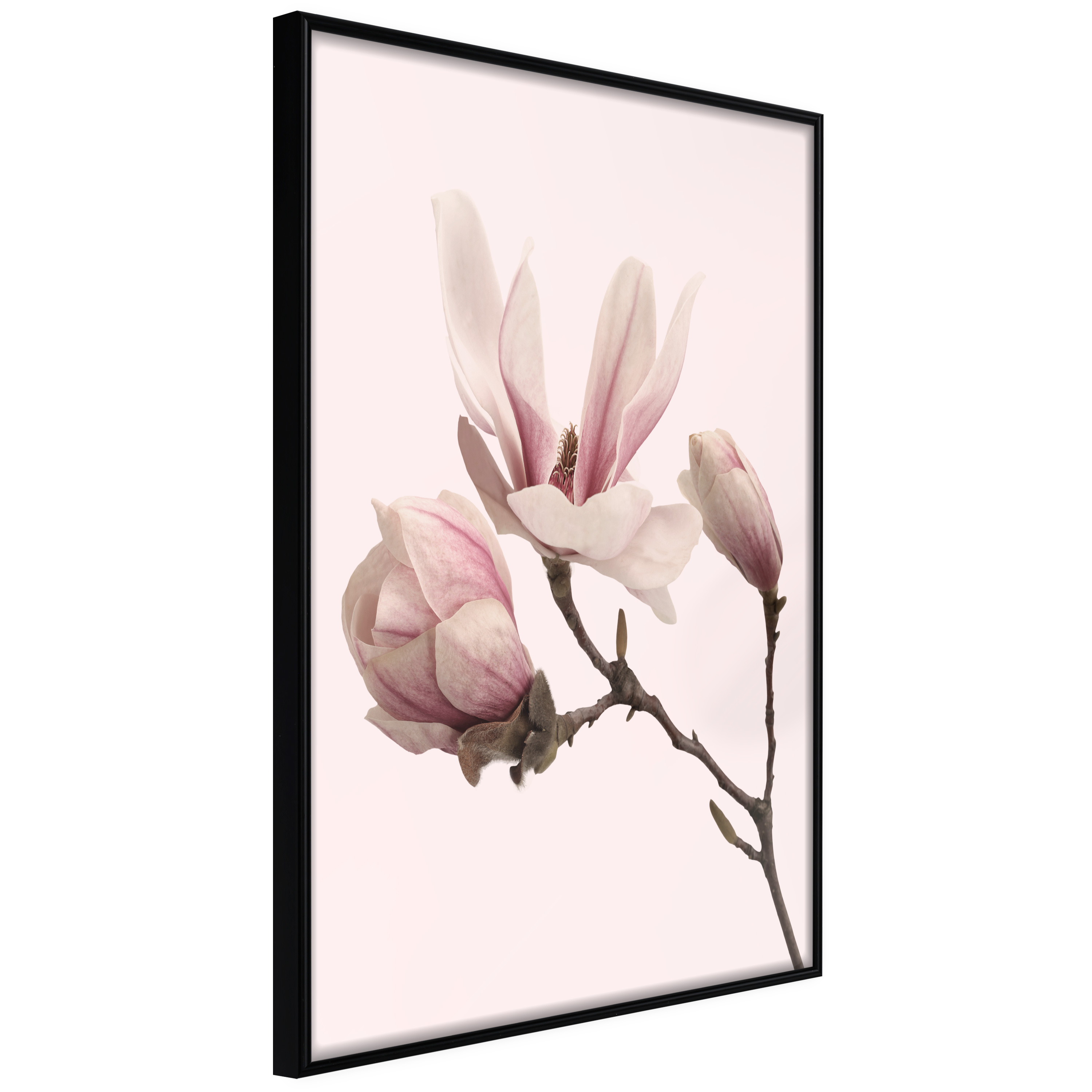 ARTGEIST Plakat med ramme - Blooming Magnolias II Guld 20x30