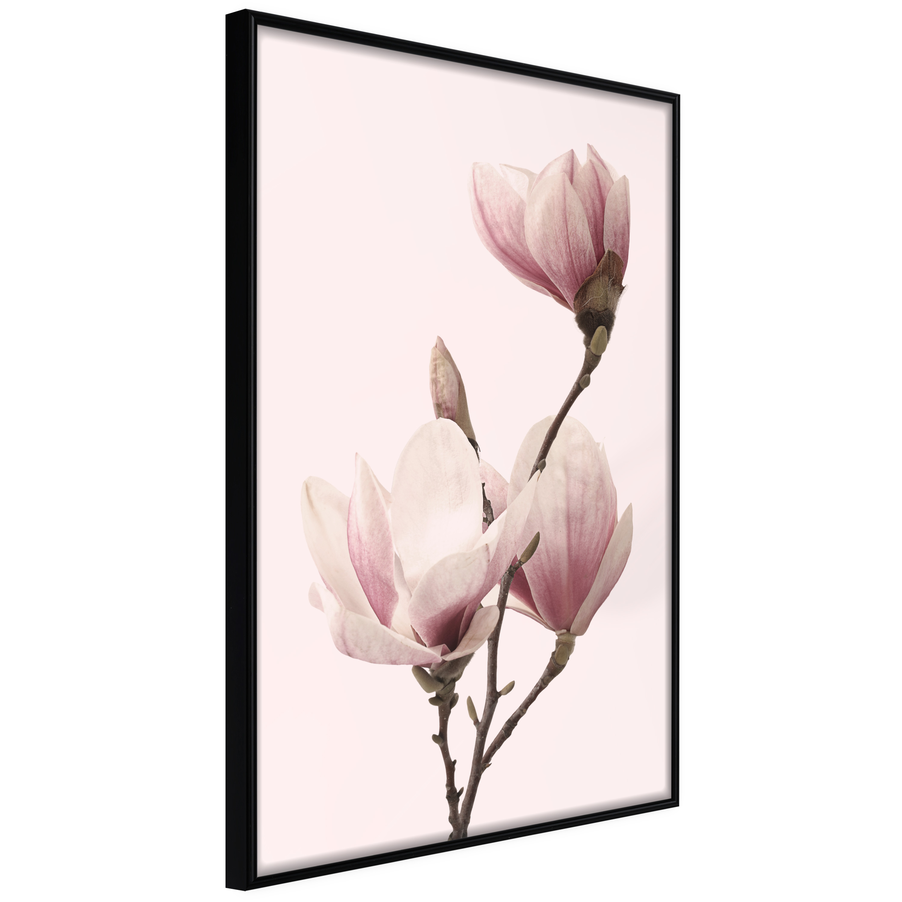 ARTGEIST Plakat med ramme - Blooming Magnolias III Sort med passepartout 20x30