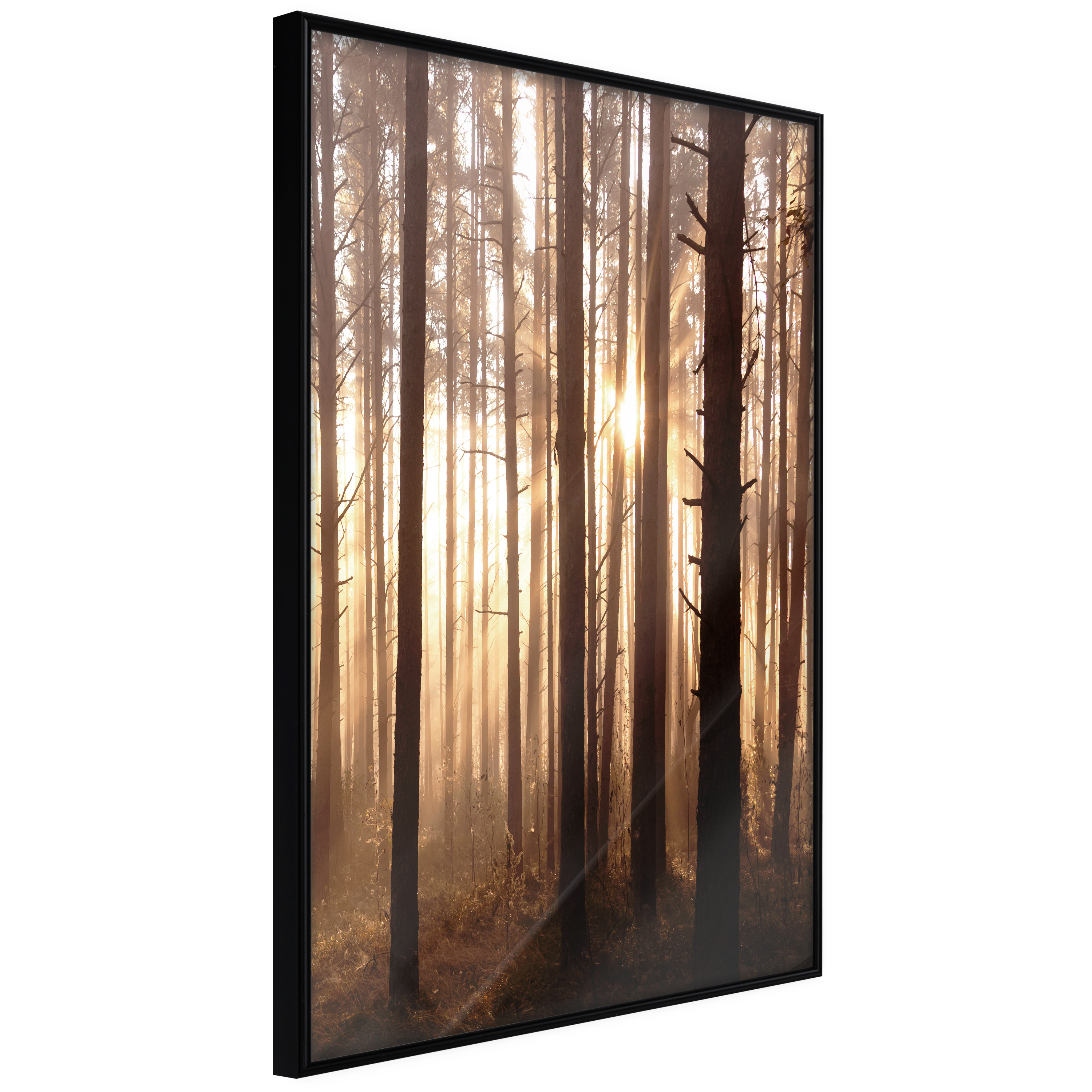 ARTGEIST Plakat med ramme - Morning in the Forest Guld 20x30