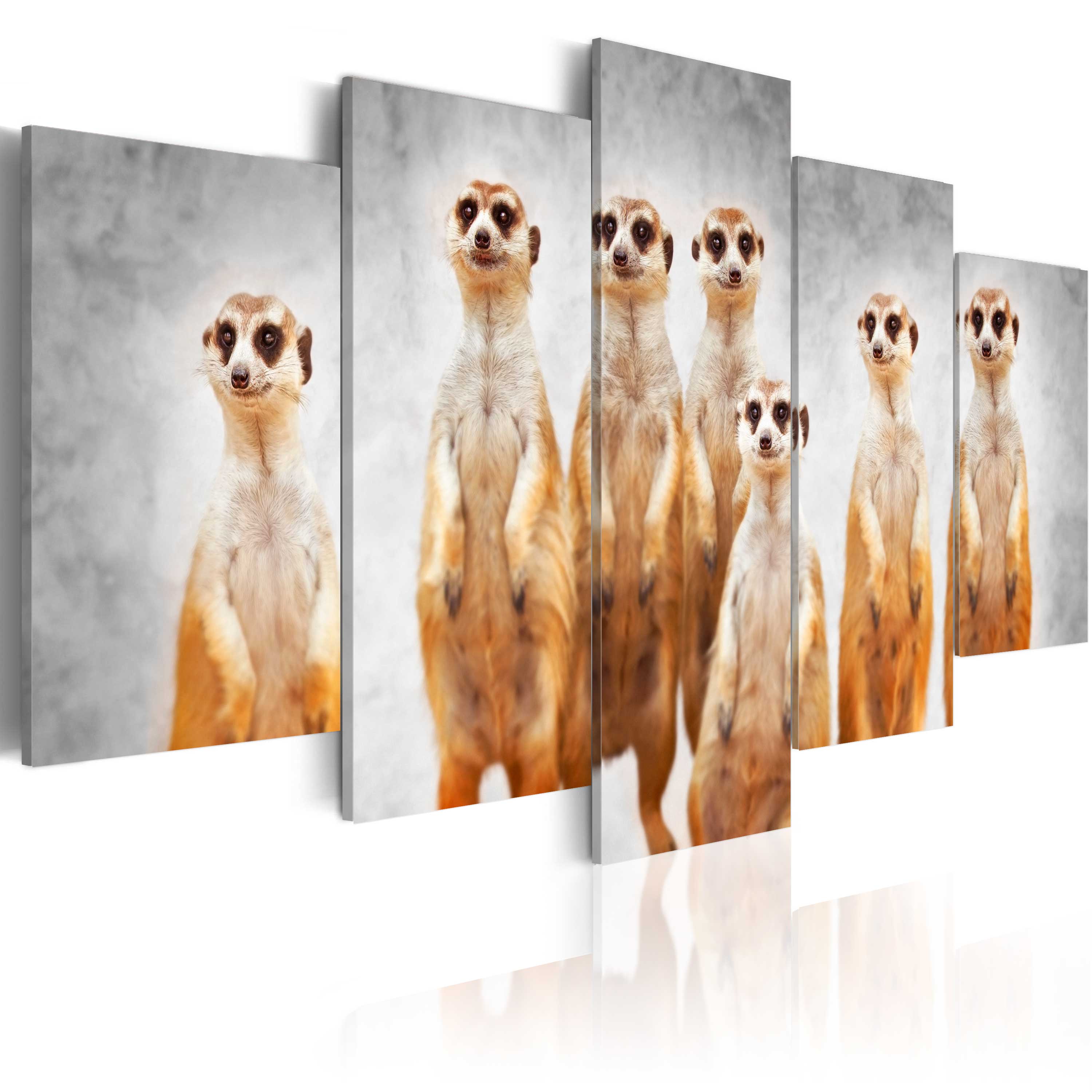 Billede af ARTGEIST billede trykt på lærred - Meerkats, 5-delt - Flere størrelser 100x50