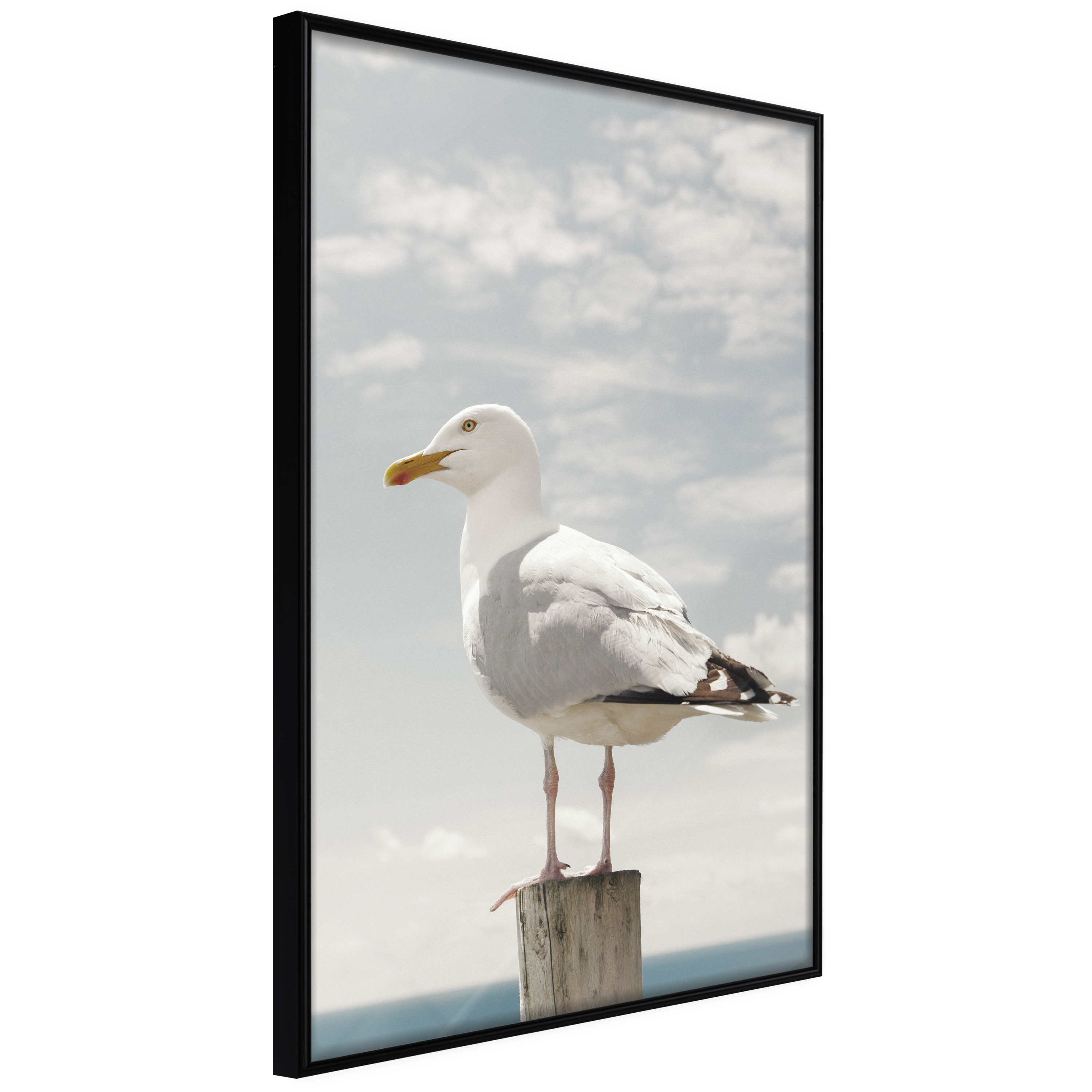 ARTGEIST Plakat med ramme - Curious Seagull Sort 30x45 thumbnail